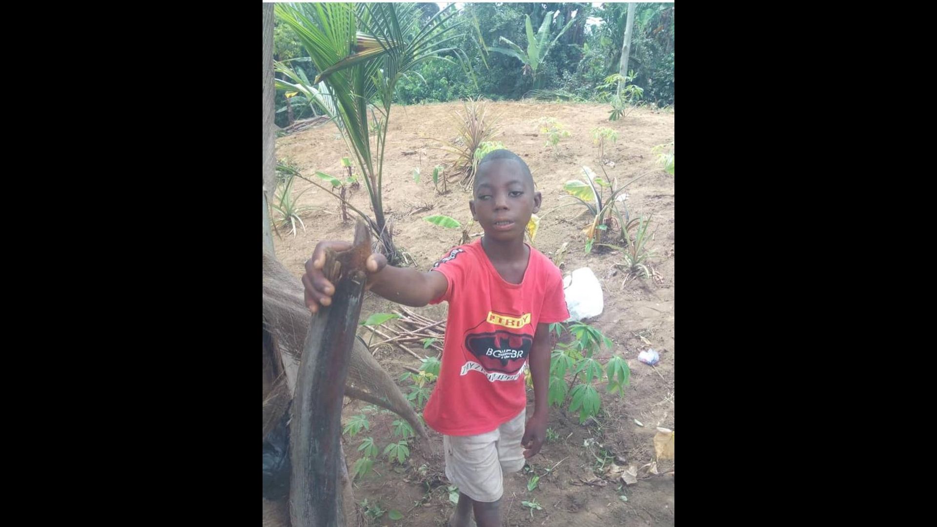 WhatsApp Image 2023-11-20 at 23